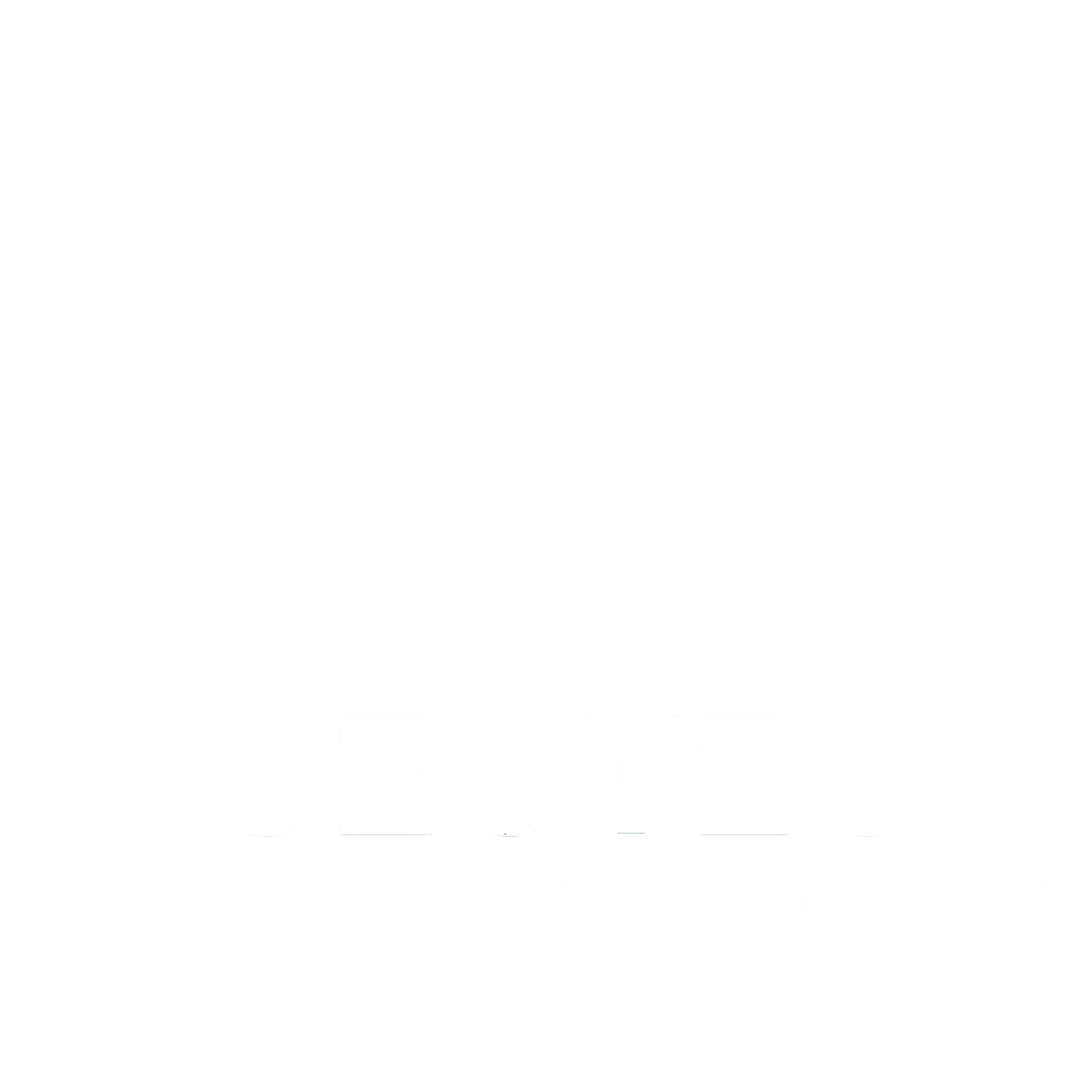 Geotec Logo